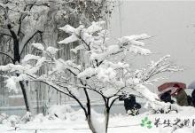 5省將有暴雪 暴雪天氣出行注意什么