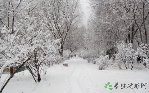 玉樹雪災(zāi)啟動救災(zāi) 大雪天氣的安全注意事項