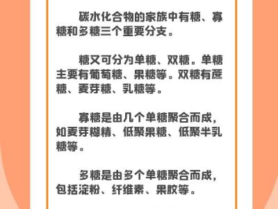 減肥真的需要“0碳水”嗎？這樣科學(xué)“食碳”保持身體健康