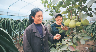 “洋水果”在中國安了家