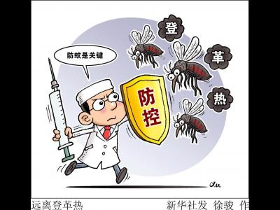 我國部分省份現(xiàn)登革熱散發(fā)病例 專家提示防蚊蟲孳生