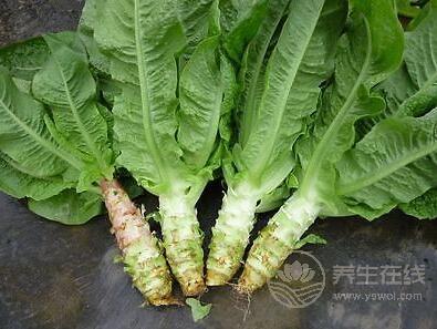 這種菜被稱為降三高小能手，秋冬多吃對(duì)身體有好處