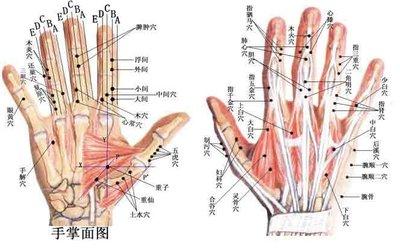 手上有哪些經(jīng)絡它們的作用分別是什么