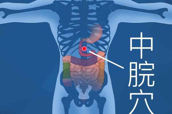 三伏天脾胃不好貼哪個(gè)穴位 三伏天貼敷的注意事項(xiàng)