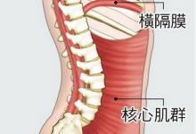 核心≠腹肌 認(rèn)識(shí)核心肌群和訓(xùn)練方法