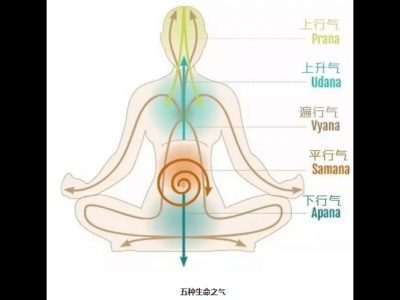 瑜伽動作進行增強氣息 鍛煉特殊瑜伽動作增強內氣