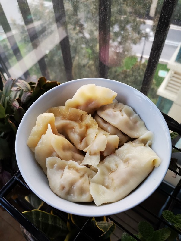 牛肉胡蘿卜餃子的做法-咸鮮味煮菜譜