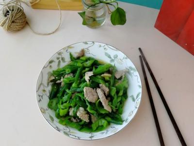 青椒炒肉絲的做法-咸鮮味炒菜譜