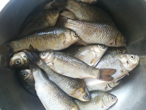 糖醋酥鯽魚的做法-家常味燉菜譜