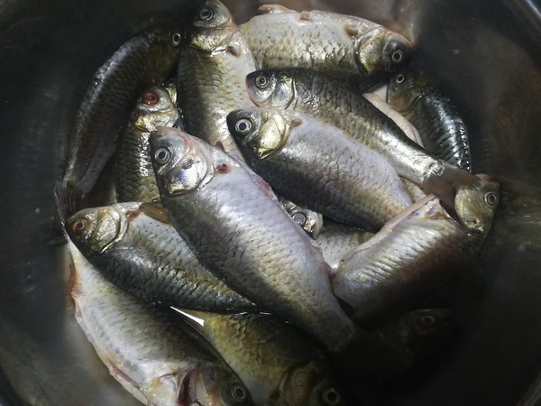 糖醋酥鯽魚的做法-家常味燉菜譜