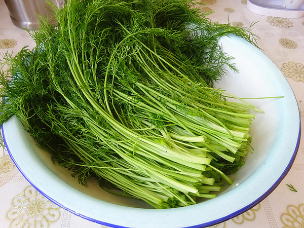 茴香豬肉餡蒸餃的做法-咸鮮味蒸菜譜