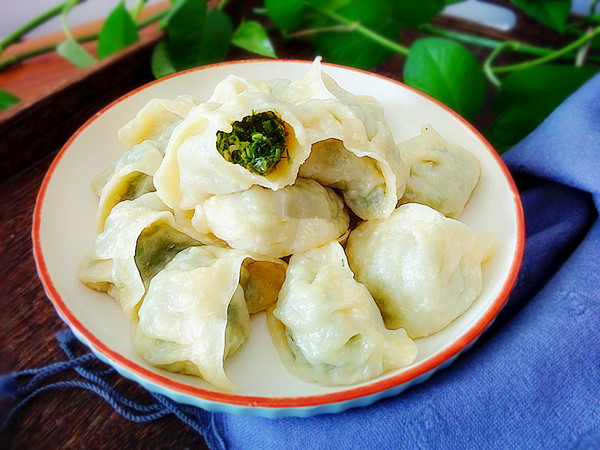 茴香豬肉餡蒸餃的做法-咸鮮味蒸菜譜