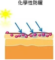  少了防曬霜 你都沒有資格和陽光"嬉戲" 