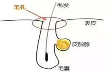 毛孔粗大如何清潔 改善膚質(zhì)必備的幾個(gè)護(hù)膚小知識(shí)