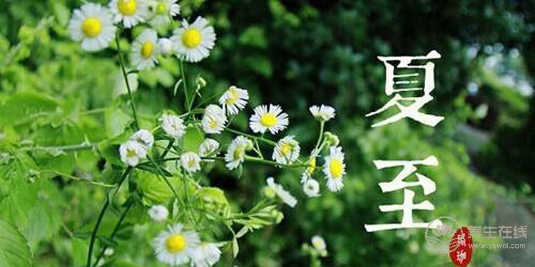 2019年什么時候夏至 夏至?xí)r間幾點幾分