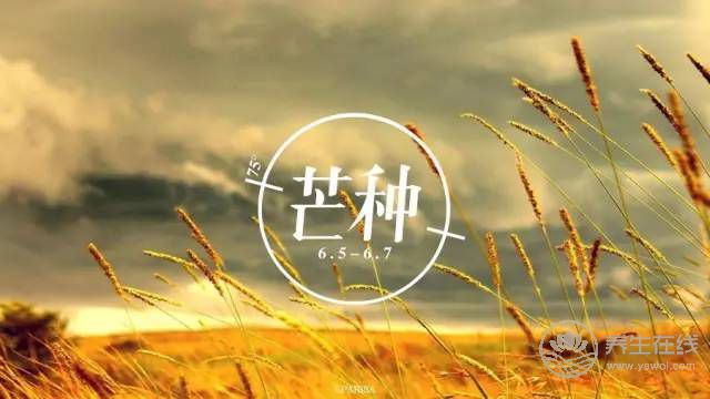 2019年什么時(shí)候芒種 芒種時(shí)間幾點(diǎn)幾分