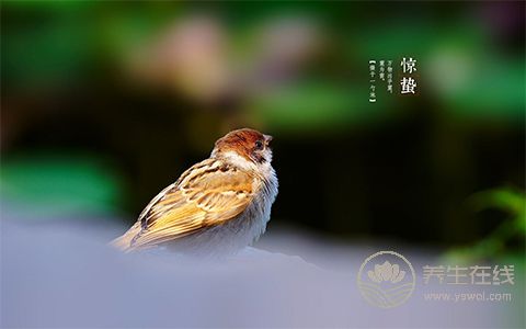 驚蟄健脾益氣，喝這個(gè)湯正好