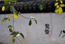 2018年驚蟄時間，驚蟄天氣如何，驚蟄有哪些習俗，驚蟄如何養(yǎng)生