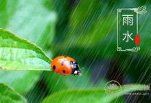 2019年雨水巧遇元宵節(jié)，二十四節(jié)氣之雨水養(yǎng)生篇