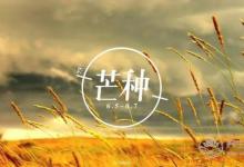 2019年什么時候芒種 芒種時間幾點(diǎn)幾分