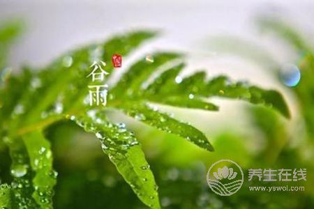 什么是谷雨節(jié)氣?