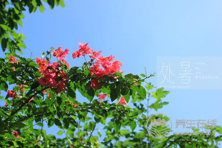 處暑節(jié)氣的含義是什么?處暑后就涼快了嗎?