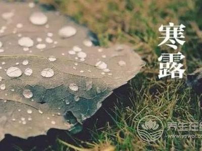 寒露的來(lái)歷是什么?寒露節(jié)氣如何養(yǎng)生?