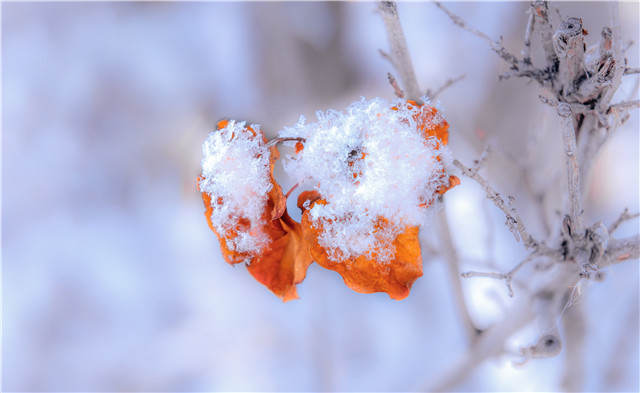 下雪天會(huì)被曬黑嗎？下雪也要注意防曬