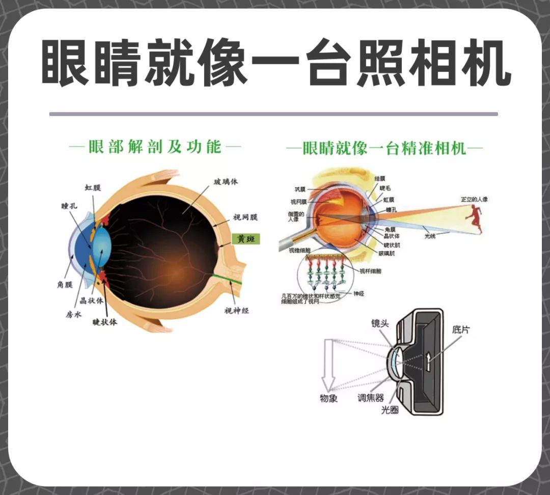 如何健康簡(jiǎn)單護(hù)眼？