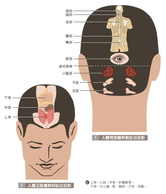 梳頭按摩的5種方式！梳頭能改善頭痛、高血壓、中風(fēng)等疾病