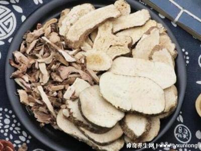 喝澤瀉白術(shù)一個月瘦多少斤，10斤起步適合肥胖癥(附減肥配方)