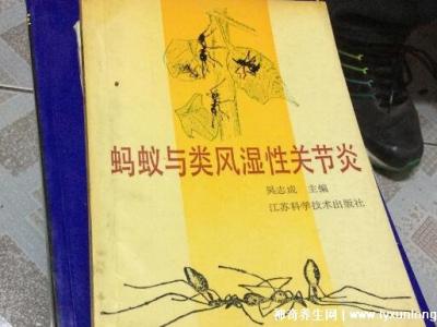 黑螞蟻治療類風(fēng)濕配方，螞蟻消痹湯(類風(fēng)濕性關(guān)節(jié)炎的克星)