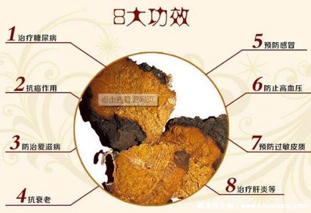 喝了4個月樺樹茸血糖升高，正確服用會降血糖(3大因素影響)